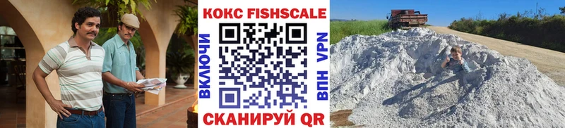 закладка Белореченск МЕГА вход Cocaine Fish Scale