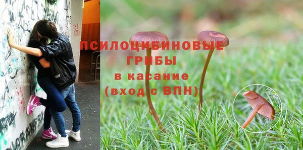 бутик Алексеевка