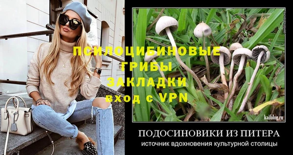 не бодяженный Алексин