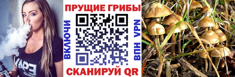 Псилоцибиновые грибы GOLDEN TEACHER Белореченск