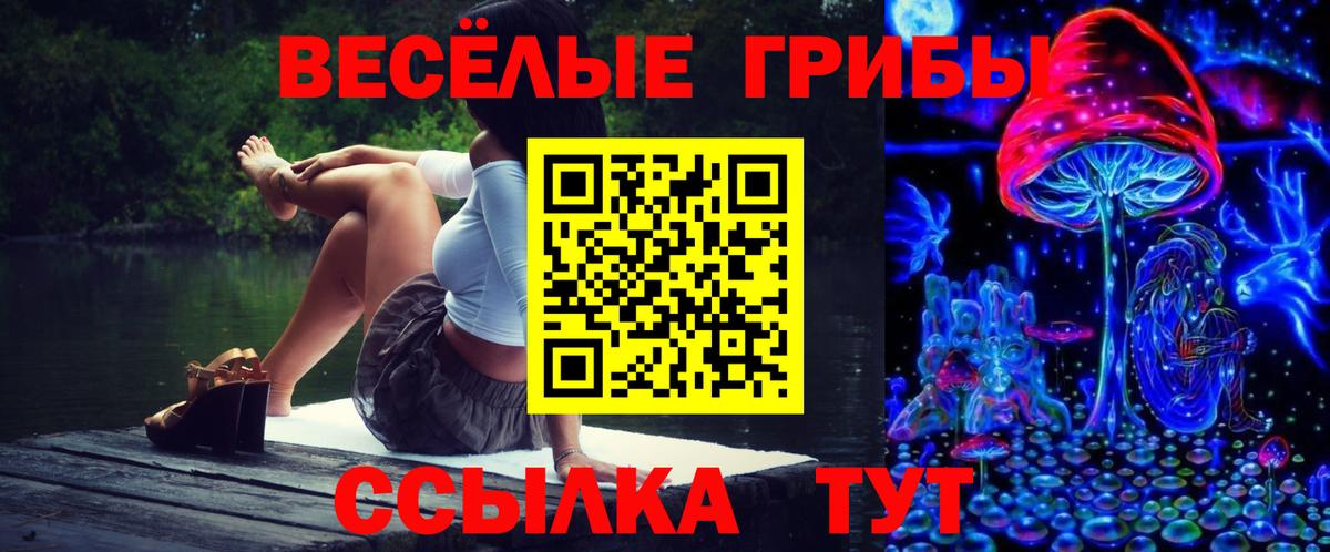 Белореченск  Галлюциногенные грибы прущие грибы  Вход с VPN 