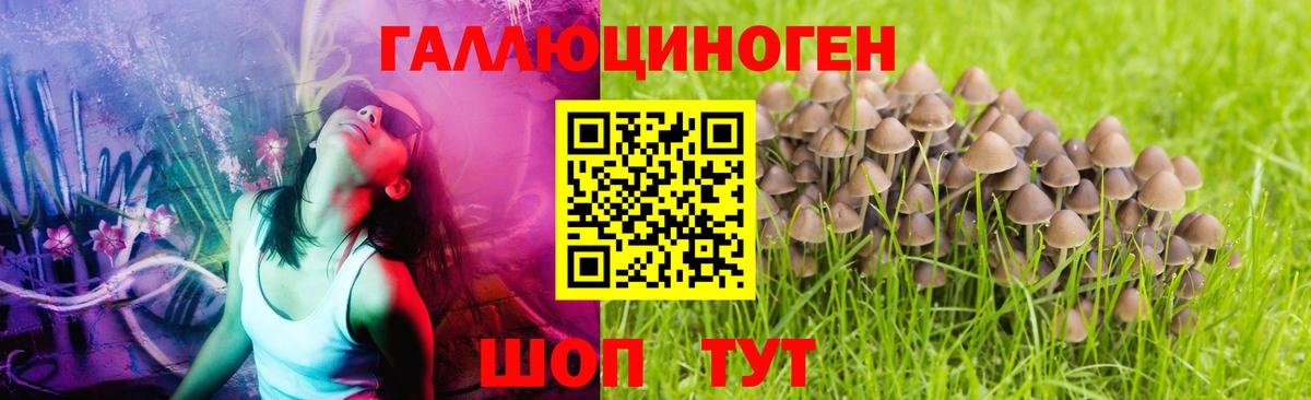 Псилоцибиновые грибы Magic Shrooms Белореченск